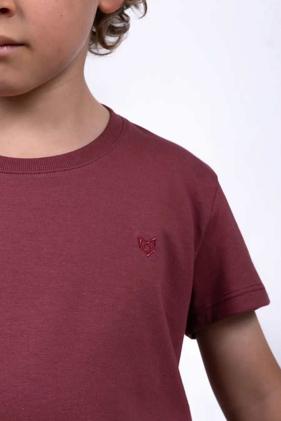 Camiseta Para Niño Cuello Redondo Terracota 180101